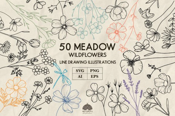 Authentic Meadow Wildflowers Line Art: 50 Hand-Drawn Designs for Your Projects