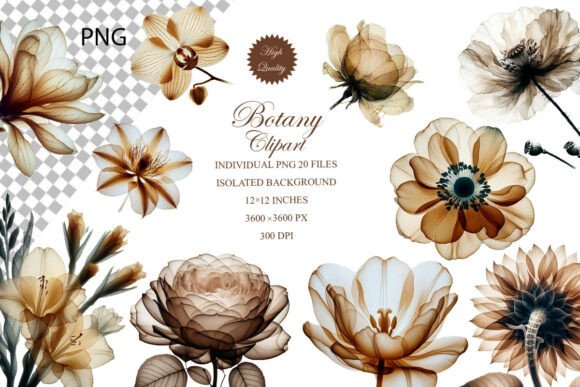 Beige Botanical Flowers Clipart Set: Elevate Your Designs