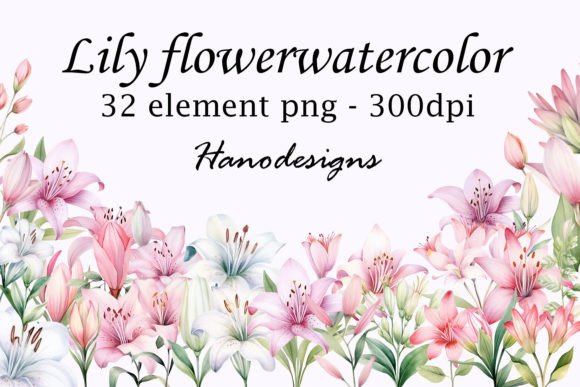 Lily Flower Watercolor: Elegant Botanical Graphics for Creatives
