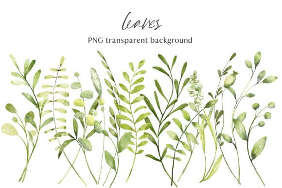 Watercolor Leaves Clipart: Elevate Your Design Projects